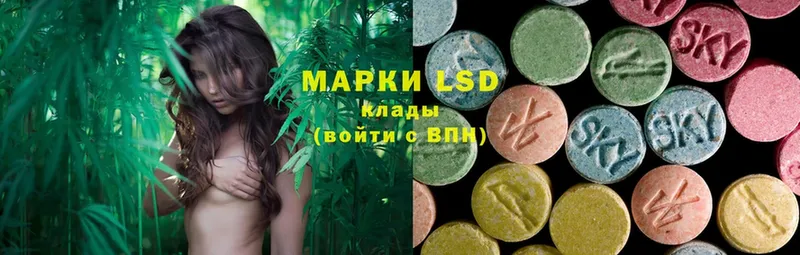 ЛСД экстази ecstasy  Багратионовск 